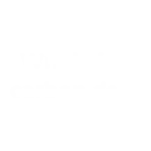 whole life carbon data