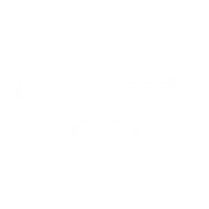 audit-ready data